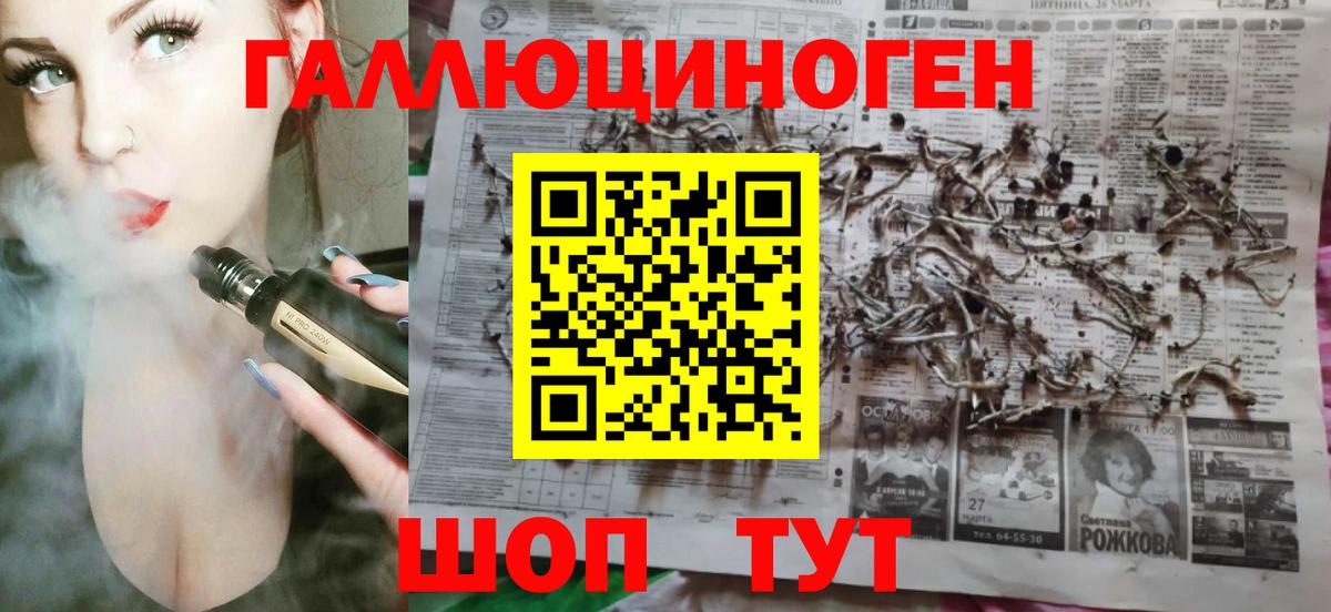 Сокол  Псилоцибиновые грибы Magic Shrooms  Вход с VPN 